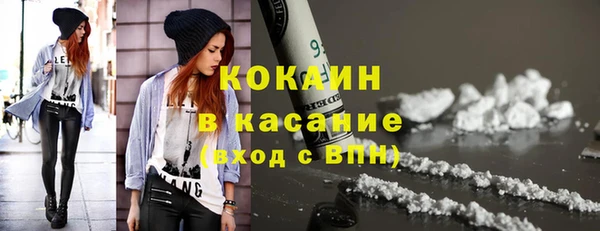 мдпв Каменногорск