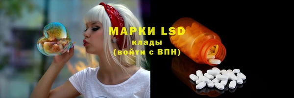 ГАЛЛЮЦИНОГЕННЫЕ ГРИБЫ Каменка