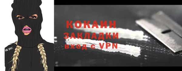 мдпв Каменногорск