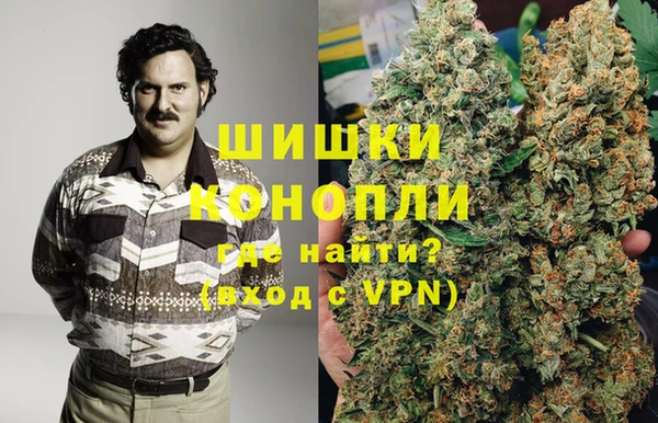 мдпв Каменногорск