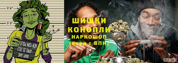 ГАЛЛЮЦИНОГЕННЫЕ ГРИБЫ Каменка