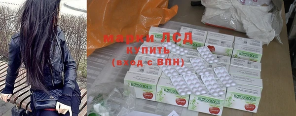 ГАЛЛЮЦИНОГЕННЫЕ ГРИБЫ Каменка