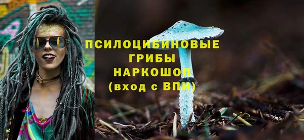 мдпв Каменногорск