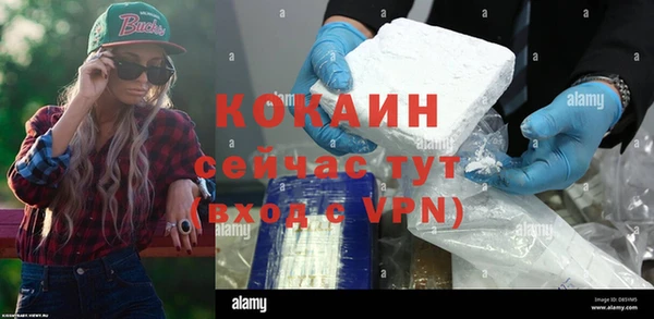 ГАЛЛЮЦИНОГЕННЫЕ ГРИБЫ Каменка