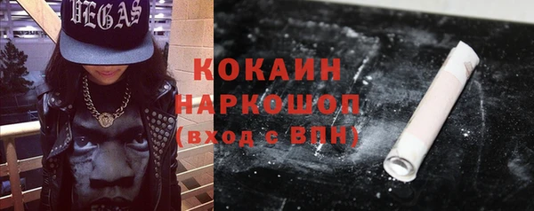 мдпв Каменногорск