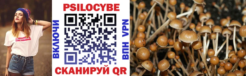 наркошоп  Туринск  Псилоцибиновые грибы GOLDEN TEACHER 